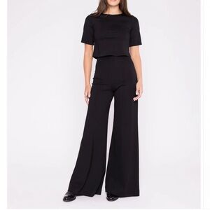 Ripley Rader Luxe Black Wide Leg Ponte Pants